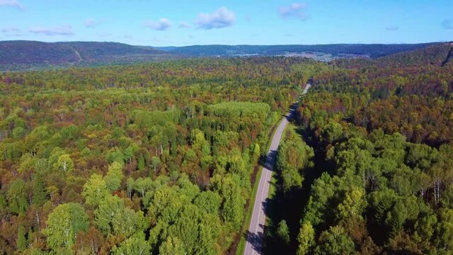 Aerial video road forest