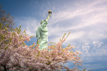 Shot of the Statue of Liberty in New York City, Usa. The shot is taken during a beautiful sunny day with a blue sky and white clouds in the background