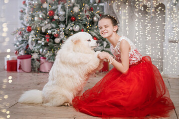 A girl in a smart dress holds a large white shaggy dog by the paws against the backdrop of the Christmas tree