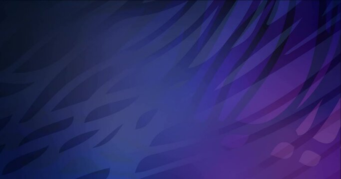 4K looping dark purple animated lines, curves. Flowing colorful lines in motion style with gradient. Film business advertising. 4096 x 2160, 30 fps.