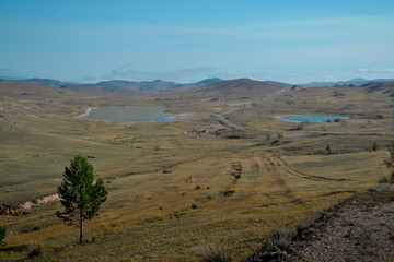 Road in steppe with lakes among hills and mountains covered with green grass. Baikal nature. Tree in the foreground