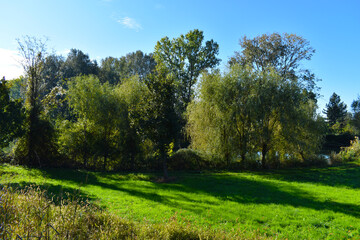 countryside landscape view in solar day