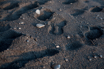 Fototapeta na wymiar Reynisfjara Beach black sand