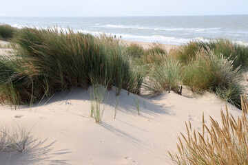 Der Strand in der Nähe von De Haan, Flandern, Belgien mit Strandgras und Strandspaziergängern 