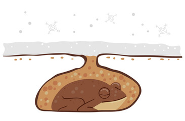 Frog Hibernation Winter Illustration