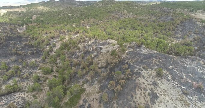 vuelo con drone sobre bosque quemado