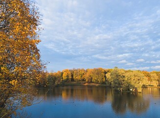 Fototapeta na wymiar Golden autumn background, trees with yellow leaves, pond in the park