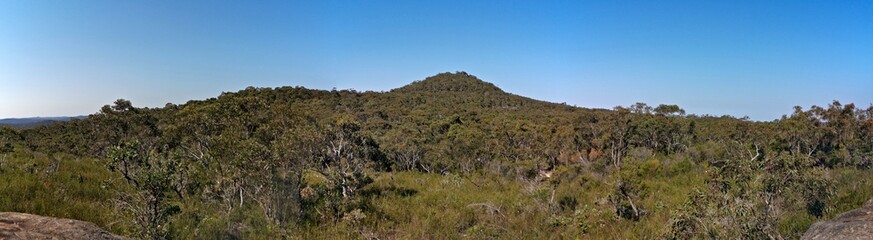 Fototapeta na wymiar Beautiful afternoon panoramic view of mountain ranges, trees and deep blue sky from a trail, Willunga Trig Point Trail, Ku-ring-gai Chase National Park, Sydney, New South Wales, Australia 