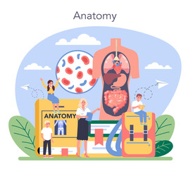 Anatomy school subject. Internal human organ studying. Anatomy