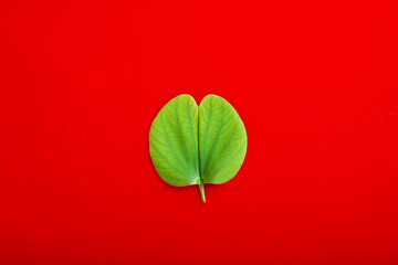 Indian Festival Dussehra , green leaf and rice