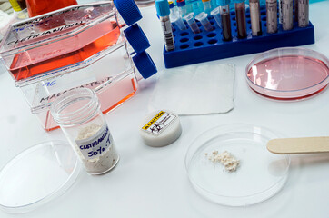 Laboratory research on the insecticide clothianidin, cause of malaria disease through The Anopheles family of malarial mosquitoes, conceptual image