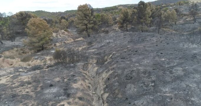 planos de drone de bosque mediterr&aacute;neo quemado