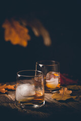 Glass of scotch whiskey and ice on wooden background with autumn leaves