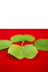 Indian Festival Dussehra , green leaf and rice