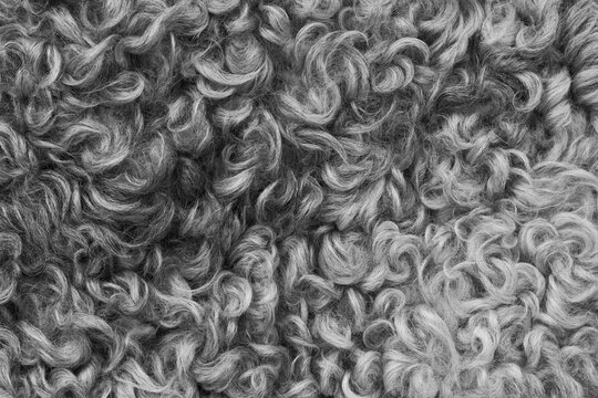 Fondo abstracto con textura pelaje para empresas, negocios, publicidad, medios...