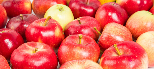 Multicolored fresh apples on a white background close-up. Selective focus.