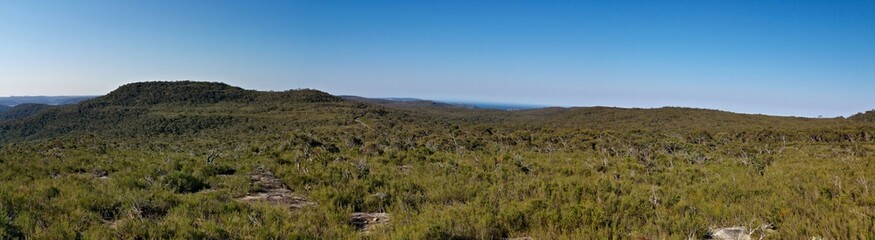 Beautiful afternoon panoramic view of mountain ranges, trees and deep blue sky from a trail, Willunga Trig Point Trail, Ku-ring-gai Chase National Park, Sydney, New South Wales, Australia
