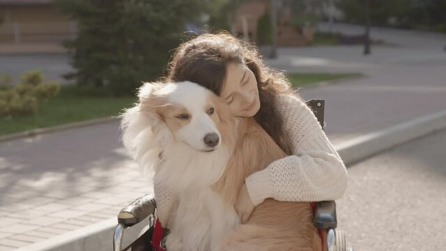 Portrait of disabled happy young woman in wheelchair with her guide dog. Asian handicapped girl with paralysis kissing her doggy living full life. Outdoor summer shot. 6k downscale 10 bit color.