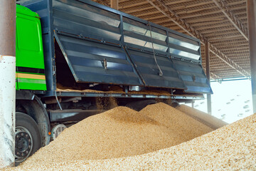 Agricultural vehicle and large pile of dry hay