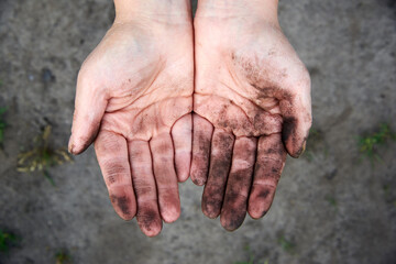 Woman's hands soiled in the ground, growing plants by a human.