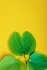 Indian Festival Dussehra , green leaf and rice