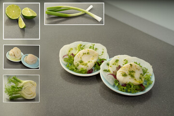 Composition of Traditional Peruvian gourmet ceviche scalop  filet with its ingredients