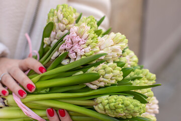 Fresh beautiful flower. Woman holding a big delicate flower mono bouquet of hyacinth.