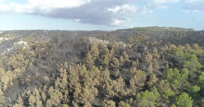 bosque mediterr&aacute;neo quemado drone 4k