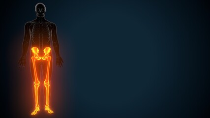 3D Illustration of Human Skeleton System Leg Joints Anatomy

