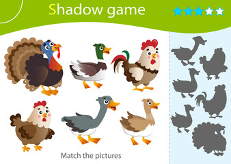 Shadow Game for kids. Match the right shadow. Color images of farm animals. Poultry. Turkey, goose, duck, Drake, hen, rooster. Worksheet vector design for children