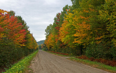 Fototapeta premium country road in autumn