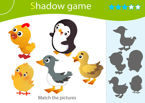 Shadow Game for kids. Match the right shadow. Color images of birds. Duckling, chick, gosling, turkey, penguin. Worksheet vector design for children