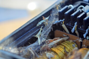 Old transformer covered in cobwebs
