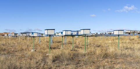 Professional beekeeping, artificial hives in the field