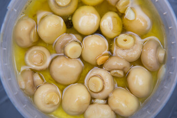Pickled mushrooms in a glass jar. Appetizer close-up in oil and brine