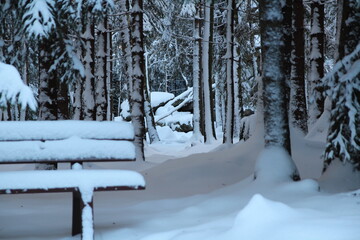  Hochharz  im Winter