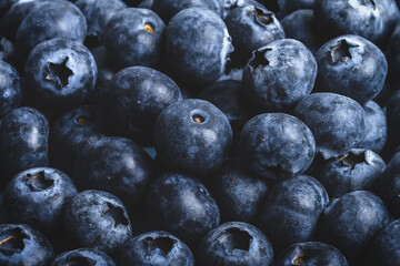 Blueberries
Photograph of many blueberries that make up a background. Photograph taken in studio with flash.