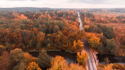 road passing through the autumn forest. bright orange leaves on the trees. autumn nature. the view from the top