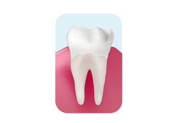 A healthy white tooth in healthy gum. Teeth whitening concept vector illustration