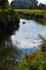 view of a countryside landscape with river and wild nature