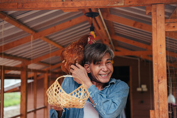 Asian elderly farmer holding fresh organic egg basket in chicken farm house.