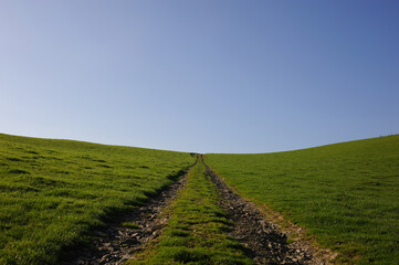 Fototapeta na wymiar A farm track leads up over the hill of a green field 