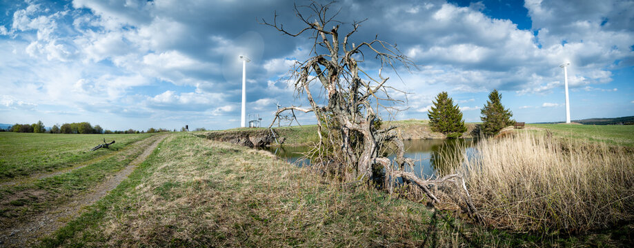 Windrad und abgestorbener Baum 