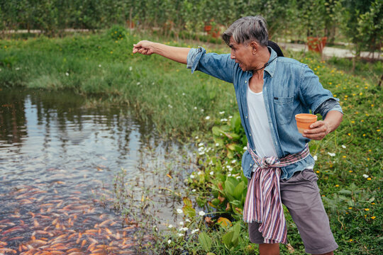 Asian elderly farmer feeding fish with pellet food in fishing farm.
