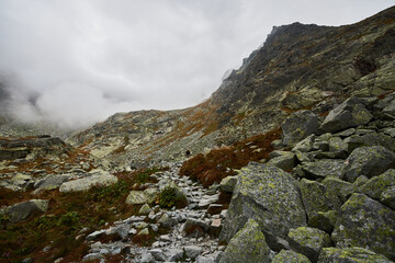 Fototapeta na wymiar View on wild nature in amazing high Tatras, Slovakia, Europe