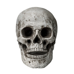 Halloween decoration skull isolated white background