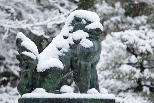 Komainu Bilder Durchsuchen 10,537 Archivfotos, und