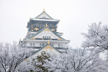 Naklejka premium 大阪城と雪