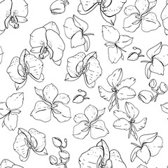 Seamless floral pattern with romantic orchid flowers. Endless texture for elegant floral and season design