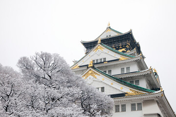 大阪城と雪
